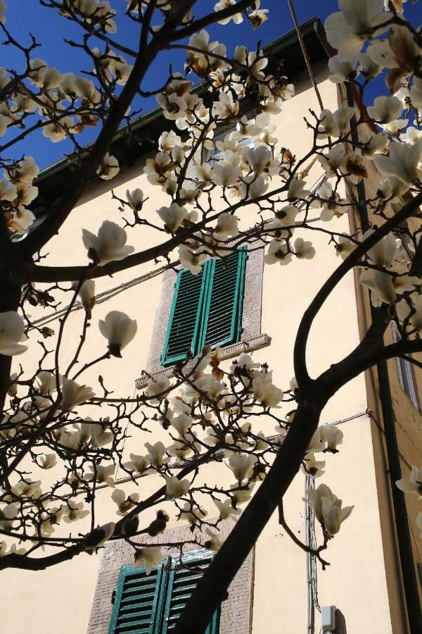 Casa Sophie Apartment Lucca Exterior foto